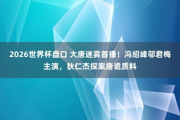 2026世界杯盘口 大唐迷雾首播!冯绍峰邬君梅主演,狄仁杰探案唐诡质料