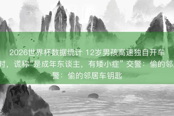 2026世界杯数据统计 12岁男孩高速独自开车狂飙6小时,谎称“是成年东谈主,有矮小症” 交警:偷的邻居车钥匙